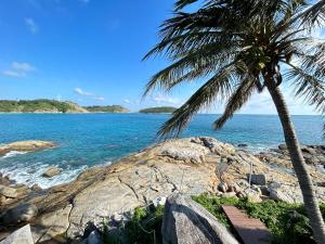 奈汉海滩Naiharn On The Rock Resort Phuket的棕榈树在岩石海滩上,与大海交汇
