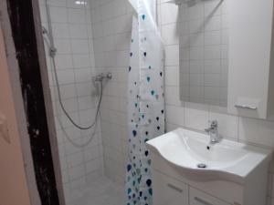 塞科夫列Penzion Palma的带淋浴和盥洗盆的浴室