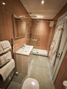 霍斯金丝特里克旅馆的浴室配有卫生间、盥洗盆和淋浴。