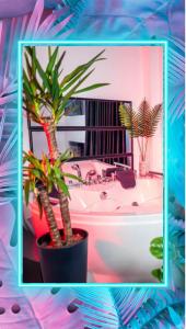 克拉约瓦Apartment de Lux Craiova Jacuzzi Pat Rotund Semineu Zona Ford的一间拥有两棵棕榈树和浴缸的浴室
