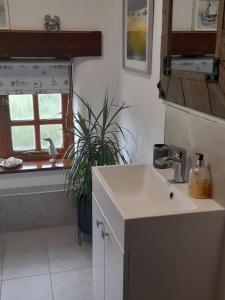 East BudleighDelightful Devon Cottage的白色的厨房设有水槽和窗户