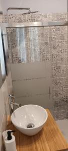 利沃诺Il porto di Ale e Kat的浴室配有白色水槽和淋浴。