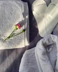 斯捷潘纳万RL Hotel的一条白色的毛巾,上面有粉红色的玫瑰和心