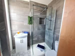 伯恩茅斯Blue Cheetah Lemur Lodge的带淋浴、盥洗盆和卫生间的浴室