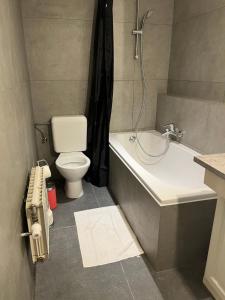 布鲁塞尔Uccle Chic Flat的浴室配有卫生间、浴缸和水槽。