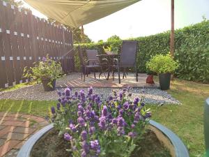 瓦尔斯罗德Ferienwohnung Tukan的一座种有紫色花卉和桌椅的花园