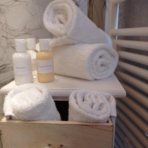 CapestranoAgriRelais San Giovanni的配有2瓶肥皂和毛巾的架子