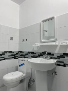 锡卡都Taaj Residence Skardu的一间带卫生间、水槽和镜子的浴室