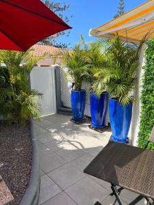 英格兰海滩Playa Del Ingles的庭院里种植着蓝色盆栽植物,配有带雨伞的桌子