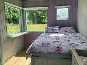 DrumahayreMarket Street Shepherd's Hut Leitrim的一间卧室设有一张床和两个窗户。