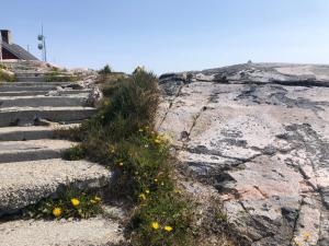 ISIKKIVIK Saarloq的岩石上花黄色的楼梯