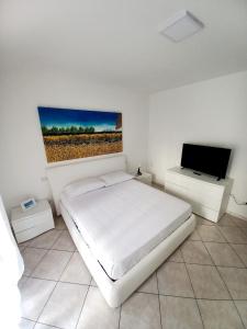 圣萨尔沃BELLAVISTA House的一间卧室配有一张床和一台平面电视