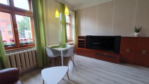 奥尔什丁Apartament Olsztyn Centrum的客厅配有电视和桌椅
