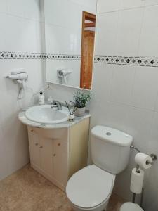 上布雷尼亚Casa Olini的白色的浴室设有卫生间和水槽。