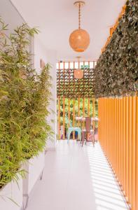 圣玛尔塔Hostal Las Guaduas的走廊上设有盆栽和桌子