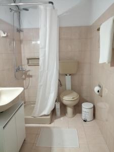 达西亚Pericles Apartment的浴室配有卫生间、淋浴和盥洗盆。