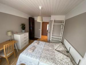 塔林Videviku Apartments的一间卧室配有一张床、一张桌子和梯子
