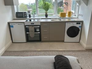 亨顿Sunny Modern, 1 Bed Flat, 15 Mins Away From Central London的厨房配有炉灶、水槽和洗碗机。