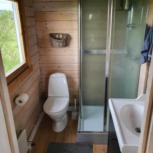 海拉Log house with a view - Bjalki的一间带卫生间和水槽的小浴室