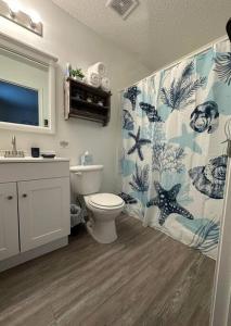 彭萨科拉Coral Sky的浴室设有卫生间、水槽和淋浴帘
