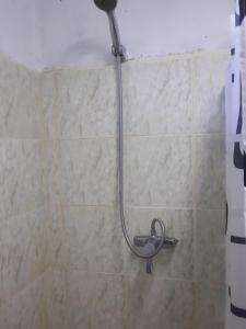 卢甘维尔Kathy B Guesthouse的浴室设有淋浴,墙上装有水管