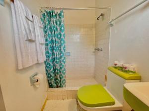 尼格瑞尔Summerset Residence Negril的一间带绿色卫生间和淋浴的浴室