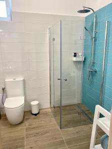 下厄尔什AZUR Panoráma Apartman的一间带卫生间和玻璃淋浴间的浴室