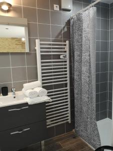 蒙蒂尼亚克Domaine de Lascaux的带淋浴和盥洗盆的浴室
