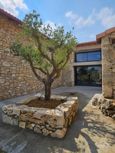 Villa & Spa Luxuria的建筑前石材种植园里的一棵树
