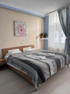 布拉索夫老城区酒店的一间卧室配有一张带毯子的大床