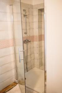 亚诺夫纳德尼索Chata Fajfrtka的浴室里设有玻璃门淋浴