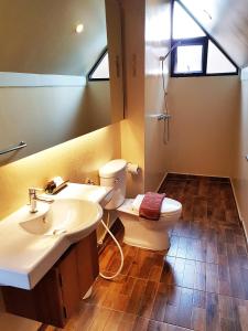 清莱PAN KLED VILLA eco hill resort - SHA extra plus的一间带水槽、卫生间和镜子的浴室