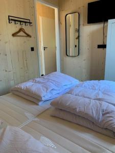卡兰茨奥赫Luxe vakantielodge in Callantsoog aan zee的两张床铺位于带镜子的房间