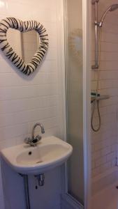 哈伦Kop vd Hondsrug1的一间带水槽、镜子和淋浴的浴室