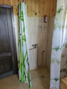 阿格洛纳Zvaigznītes的带淋浴和浴帘的浴室