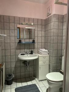 盖布利茨Gästehaus Barbara的一间带水槽和卫生间的浴室