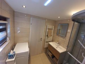 克拉尼斯卡戈拉Apartma Devs的一间带水槽、卫生间和镜子的浴室