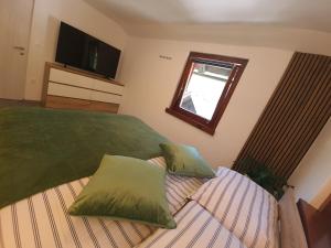 克拉尼斯卡戈拉Apartma Devs的一间卧室配有一张带两个枕头的床和电视。