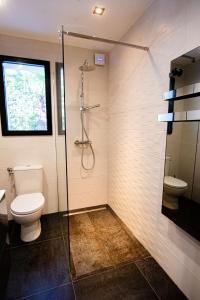 弗雷瑞斯Appartement de caractère avec Jacuzzi的一间带卫生间和玻璃淋浴间的浴室