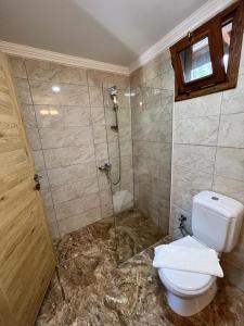 契拉勒Alicra Hotel Çıralı的带淋浴和卫生间的浴室。