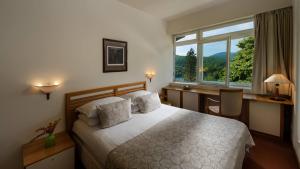 普利特维采湖普里特维斯酒店的一间卧室配有一张床、一张书桌和一个窗户。