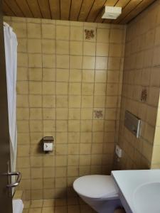 格拉鲁斯Hotel Stadthof Glarus的一间带卫生间和水槽的浴室