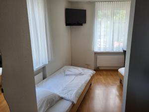 格拉鲁斯Hotel Stadthof Glarus的小房间设有床和电视