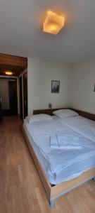 格拉鲁斯Hotel Stadthof Glarus的卧室设有一张白色大床和天花板