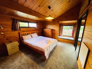奥克兰Auckland Beachview Homestay with free Netflix, Parking的小木屋内一间卧室,配有一张床