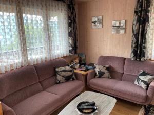 Oberwilen吉斯维尔马格里斯格罗斯特尔度假屋的客厅配有两张沙发和一张桌子