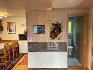 Oberwilen吉斯维尔马格里斯格罗斯特尔度假屋的一间带厨房的客厅和一间浴室