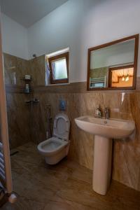 泰斯Theth Kompleksi Gjoni的一间带水槽、卫生间和镜子的浴室