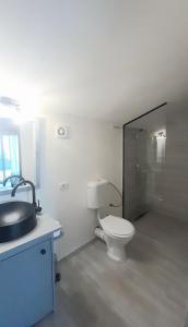 杜博瓦乡La Piticu的浴室配有卫生间、盥洗盆和淋浴。