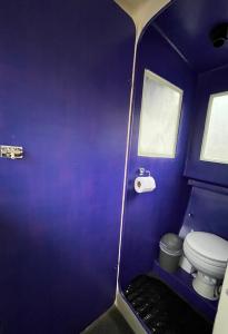 爱德华港Baby Blue Houseboat的紫色客房内带卫生间的小浴室